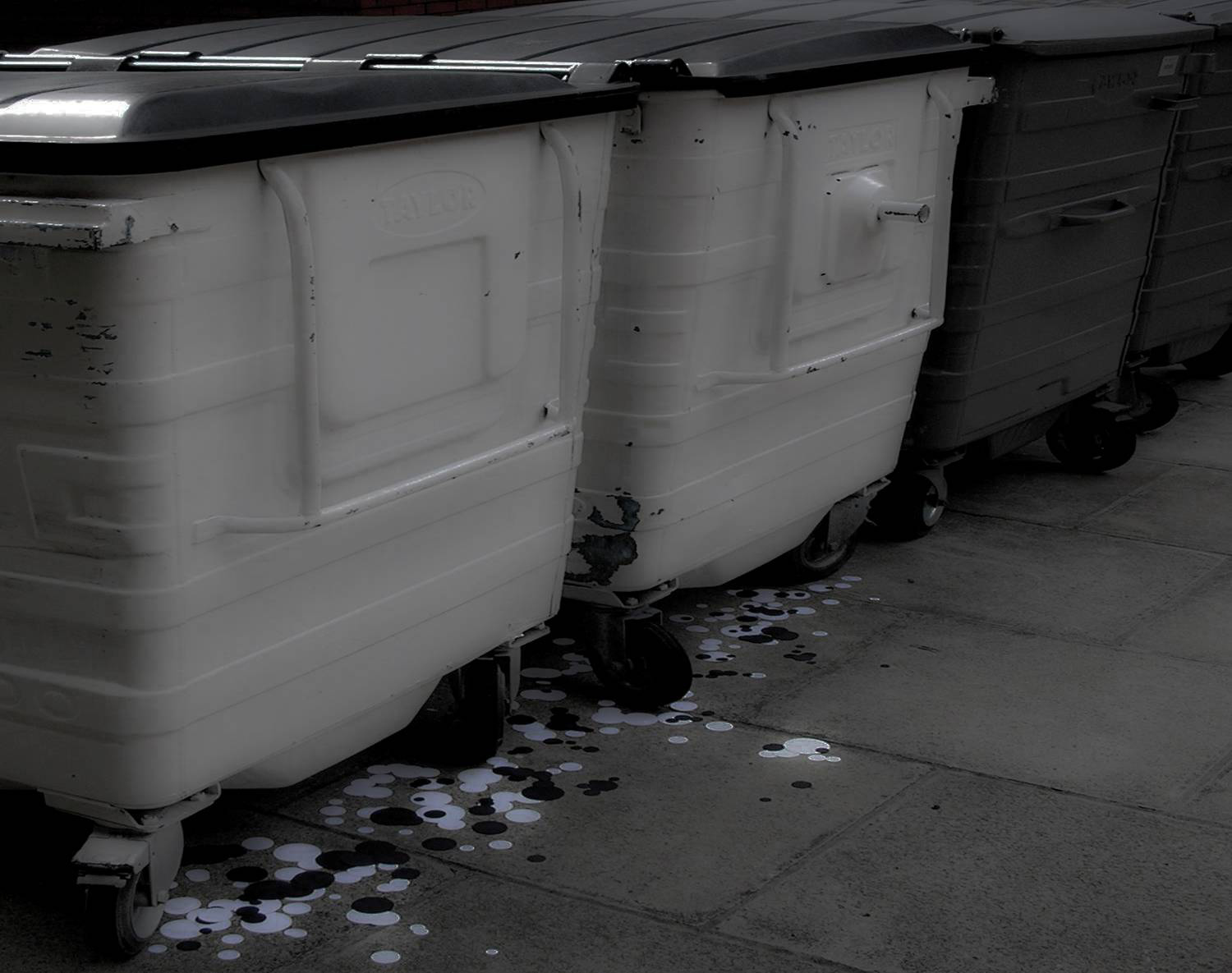 Geopolis (*POP*) B+W photo : Trash containers installation